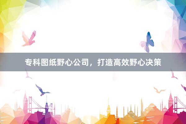 专科图纸野心公司，打造高效野心决策